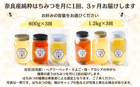 【定期便3回】むろうはちみつ 奈良産 純粋はちみつ 種類おまかせ (600g×3回)／ 66832 室生 国産 蜂蜜 ハニー ギフト お取り寄せ ふくさきわう 奈良県 宇陀市 ふるさと納税