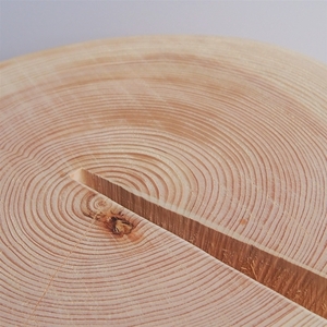 森の丸太スツール＜ヒノキ持ち手付き／磨き丸太仕上げ＞ / スツール オットマン 椅子 背割りあり LOGSTOOL サイドテーブル カフェ キャンプ 天然素材 おしゃれ ベンチ ヴィンテージ 木製 アンティーク インテリア 送料無料 MORITO 森庄銘木 ふるさと納税