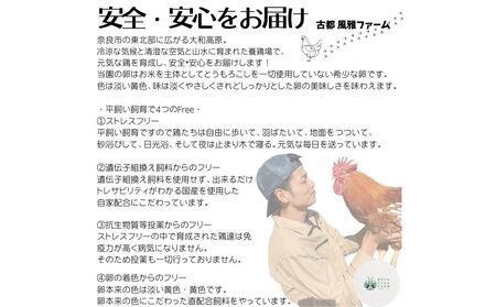 （冷蔵）美味しい　平飼い　飛鳥の卵　４０個／古都　風雅ファーム　鶏卵　たまご　玉子　奈良県　宇陀市