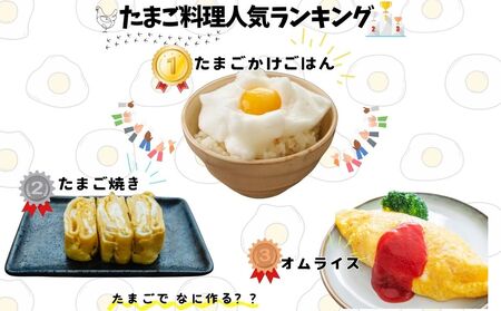 （冷蔵）美味しい　平飼い　飛鳥の卵　８０個／古都　風雅ファーム　鶏卵　たまご　玉子　奈良県　宇陀市