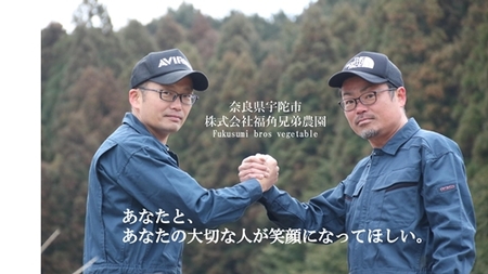 紫菊芋パウダー【約3カ月分】【150g×3袋】【450グラム】／菊芋 粉末 パウダー 紫 薬草 腸活 水溶性食物繊維 イヌリン 朝食前 水 コーヒー ヨーグルト 奈良県 宇陀市 福角兄弟農園