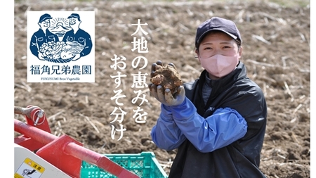 紫菊芋パウダー【約3カ月分】【150g×3袋】【450グラム】／菊芋 粉末 パウダー 紫 薬草 腸活 水溶性食物繊維 イヌリン 朝食前 水 コーヒー ヨーグルト 奈良県 宇陀市 福角兄弟農園