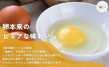 【毎月定期便／3ヶ月】平飼い飛鳥の卵 40個／ 卵 たまご 玉子 生卵 鶏卵 生たまご たまごかけごはん 卵焼き 目玉焼き 冷蔵 チルド 古都風雅ファーム 奈良県 宇陀市