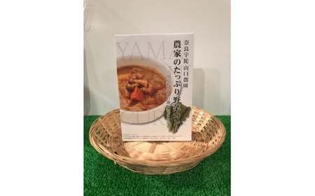 定期便 ３ヶ月 山口農園 有機野菜 おまかせセット＋カレー２箱 詰合せ 冷蔵 月１回 ／ふるさと納税 山口農園 有機野菜 伝統野菜 オーガニック ベジタリアン 定期便 カレー  野菜セット 農家直送  詰め合わせ 奈良県 宇陀市 