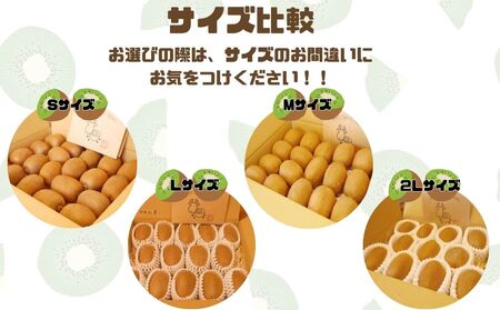 奈良県 室生産 こだわり プレミアム キウイ フルーツ Ｍサイズ 17個入 追熟処理済 ／ やまとファームJAPAN 果実 果物 旬の食材 お取り寄せ 宇陀市