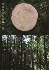 shell×shelf ／森庄銘木 ヒノキ 桧 インテリア ブックエンド シェルライン シェルフ 天然木 天然素材 本棚 おしゃれ 家 カフェ 学校 図書 送料無料 オブジェ 奈良県 宇陀市 MORITO 送料無料 ふるさと納税 インテリア 家具 天然素材