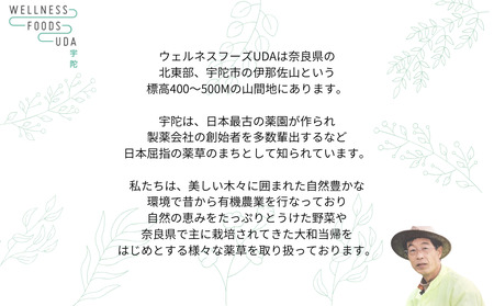 よもぎ 入浴剤 計25包 （ 1袋 5包入り × 5個 ) ／ ウェルネスフーズUDA