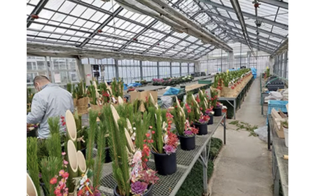 年末発送予約 お正月を飾る 門松(1個)