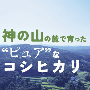 10月発送予約 切幡営農組合のコシヒカリ 令和6年産 精米5kg×2袋