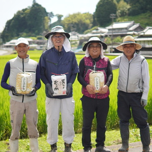 10月発送予約 切幡営農組合のコシヒカリ 令和6年産 精米5kg×2袋