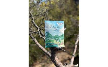 山添村の“ほうれん草カレー”６食セット