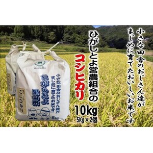 9月発送予約 50個限定!小さな田舎のおじさんたちが真面目に作ったお米 ひがしとよ里山米10kg