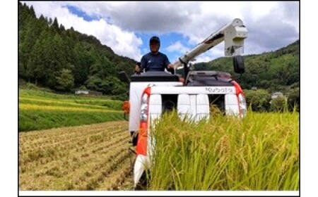 【令和7年産】ひがしとよ里山米 玄米10kg(5kg×2袋)