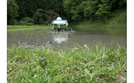 【令和7年産】ひがしとよ里山米 玄米10kg(5kg×2袋)