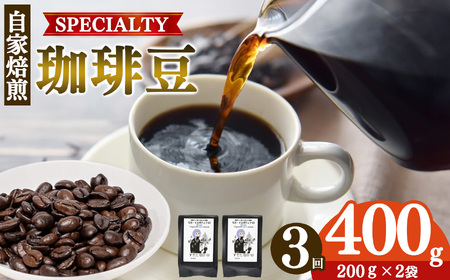  稀少 厳選 珈琲豆 トップスペシャルティーコーヒー 200g× 2袋 【 定期便 3回 】 | コーヒー すぎた珈琲 奈良県 平群町