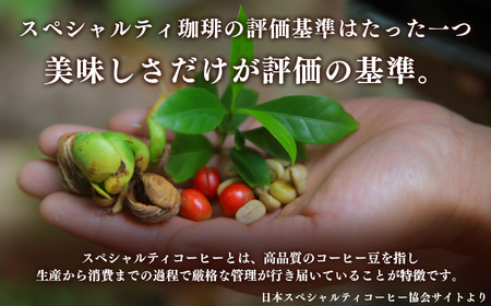  稀少 厳選 珈琲豆 トップスペシャルティーコーヒー 200g× 2袋 【 定期便 3回 】 | コーヒー すぎた珈琲 奈良県 平群町