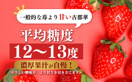 平群の古都華 2L ～ 3L サイズ （2パック×1ケース） 2月発送 | 果物 くだもの フルーツ 苺 イチゴ いちご ストロベリー 古都華 ことか 旬の品種 産地直送 奈良県 平群町/いちご苺いちご苺いちご苺いちご苺いちご苺いちご苺いちご苺いちご苺いちご苺いちご苺いちご苺いちご苺いちご苺いちご苺いちご苺いちご苺いちご苺いちご苺いちご苺いちご苺いちご苺いちご苺いちご苺いちご苺いちご苺いちご苺いちご苺いちご苺いちご苺いちご苺いちご苺いちご苺いちご苺いちご苺いちご苺いちご苺いちご苺いちご苺いちご苺いちご苺いちご苺いちご苺いちご苺いちご苺いちご苺いちご苺いちご苺いちご苺いちご苺いちご苺いちご苺いちご苺いちご苺いちご苺いちご苺いちご苺いちご苺いちご苺いちご苺いちご苺いちご苺いちご苺いちご苺いちご苺いちご苺いちご苺いちご苺いちご苺いちご苺いちご苺いちご苺いちご苺いちご苺いちご苺いちご苺いちご苺いちご苺いちご苺いちご苺いちご苺いちご苺いちご苺いちご苺いちご苺いちご苺いちご苺いちご苺いちご苺いちご苺いちご苺いちご苺いちご苺いちご苺いちご苺いちご苺いちご苺いちご苺いちご苺いちご苺いちご苺いちご苺いちご苺いちご苺いちご苺いちご苺いちご苺いちご苺いちご苺いちご苺いちご苺いちご苺いちご苺いちご苺いちご苺いちご苺いちご苺いちご苺いちご苺いちご苺いちご苺いちご苺いちご苺いちご苺いちご苺いちご苺いちご苺いちご苺いちご苺いちご苺いちご苺いちご苺いちご苺いちご苺いちご苺いちご苺いちご苺いちご苺いちご苺いちご苺いちご苺いちご苺いちご苺いちご苺いちご苺いちご苺いちご苺いちご苺いちご苺いちご苺いちご苺いちご苺いちご苺いちご苺いちご苺いちご苺いちご苺いちご苺いちご苺いちご苺いちご苺いちご苺いちご苺いちご苺いちご苺いちご苺いちご苺いちご苺いちご苺いちご苺いちご苺いちご苺いちご苺いちご苺いちご苺いちご苺いちご苺いちご苺いちご苺いちご苺いちご苺いちご苺