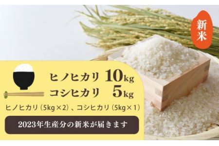 新米 奈良のお米セット 食べ比べセット（ 奈良県産 ヒノヒカリ 5kg x2 コシヒカリ 5kg ) 計15kg | 米 こめ コメ お米 おこめ  ひのひかり こしひかり 奈良県 平群町 ライス | 奈良県平群町 | ふるさと納税サイト「ふるなび」