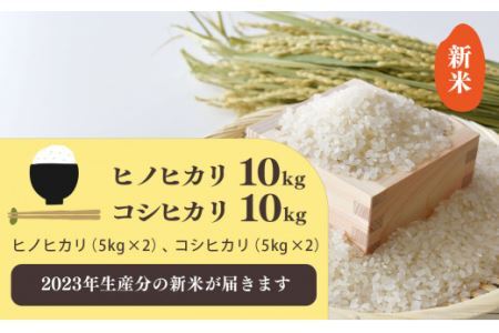 新米 奈良のお米セット 食べ比べセット（ 奈良県産 ヒノヒカリ 5kg x2 コシヒカリ 5kg ×2) 計20kg | 米 こめ コメ お米 おこめ ひのひかり  奈良県 平群町 ライス | 奈良県平群町 | ふるさと納税サイト「ふるなび」