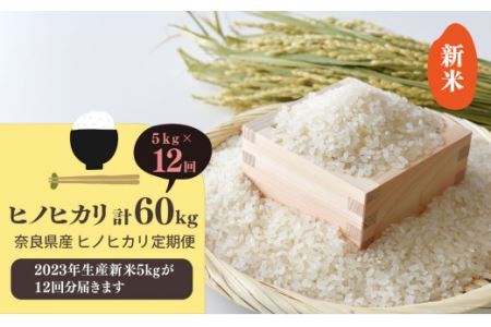 【 定期便 12回 】新米 奈良県産 ヒノヒカリ 精米 5kg （ 計60kg ） 米