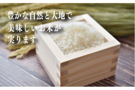 【 定期便 12回 】新米 奈良県産 ヒノヒカリ 精米 5kg （ 計60kg ） 米
