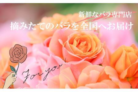 バラの花束（8本） | 薔薇 ばら ローズ フラワー 花 新鮮 高品質 綺麗 平群のバラ 花束 平群ブランド 誕生日 記念日 お祝い 奈良県 平群町