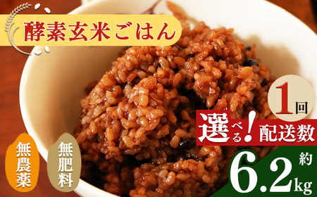 酵素玄米 ごはん ( 長岡式 ) 約 6.2kg | 酵素玄米 長岡式 オーガニックカフェ 奈良県 平群町