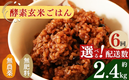 【 定期便 6回 】酵素玄米 ごはん ( 長岡式 ) 約 2.4kg | 酵素玄米 長岡式 オーガニックカフェ 奈良県 平群町