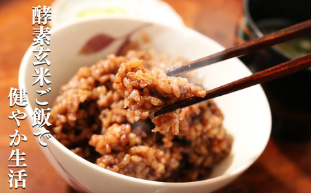 【 定期便 6回 】酵素玄米 ごはん ( 長岡式 ) 約 6.2kg | 酵素玄米 長岡式 オーガニックカフェ 奈良県 平群町