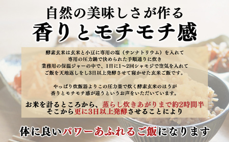 【 定期便 6回 】酵素玄米 ごはん ( 長岡式 ) 約 6.2kg | 酵素玄米 長岡式 オーガニックカフェ 奈良県 平群町
