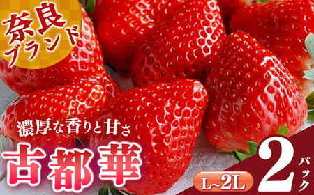 平群 の古都華 L～ 2L サイズ （2パック 1ケース）計2パック 阪野農園 | フルーツ いちご 古都華 先行予約 奈良県 平群町