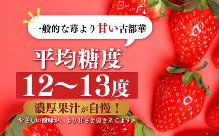 平群 の 古都華 L ～ 2L サイズ （2パック 2ケース）計4パック 阪野農園 | フルーツ いちご 古都華 先行予約 奈良県 平群町