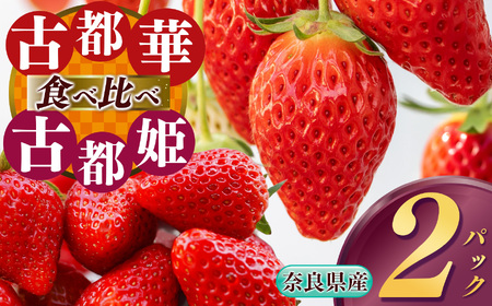 【 食べ比べ 】 平群 の『 古都華 』＋ 希少 『 古都姫 』（ L ～ 2L サイズ）各1パック 計2パック 阪野農園 | フルーツ いちご 古都華 古都姫 先行予約 奈良県 平群町