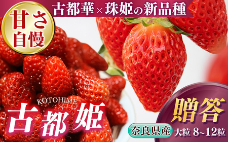 【 贈答 】 幻 の 高級 いちご『 古都姫 （ ことひめ ）』 吉野杉 箱入り 阪野農園 | フルーツ いちご 古都姫 吉野杉 先行予約 奈良県 平群町