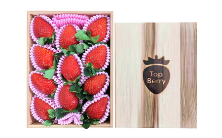 【 贈答 】 幻 の 高級 いちご『 古都姫 （ ことひめ ）』 吉野杉 箱入り 阪野農園 | フルーツ いちご 古都姫 吉野杉 先行予約 奈良県 平群町