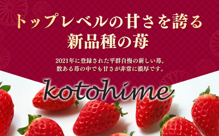 【 贈答 】 幻 の 高級 いちご『 古都姫 ( ことひめ )』 化粧箱 入り 阪野農園 | フルーツ いちご 古都姫 化粧箱 先行予約 奈良県 平群町