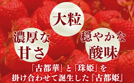 【 贈答 】 幻 の 高級 いちご『 古都姫 ( ことひめ )』 化粧箱 入り 阪野農園 | フルーツ いちご 古都姫 化粧箱 先行予約 奈良県 平群町