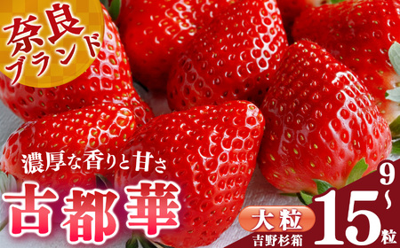 贈答 平群 の 古都華 吉野杉 箱入り 大粒 9～15粒 阪野農園 | フルーツ いちご 古都華 贈答 吉野杉 先行予約 奈良県 平群町 6,480円