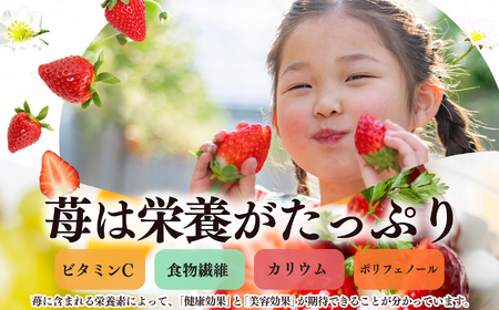 平群 の 古都華 4L ~ 5L サイズ (2パック 2ケース) 計4パック 辻本農園 | フルーツ いちご 古都華 先行予約 奈良県 平群町