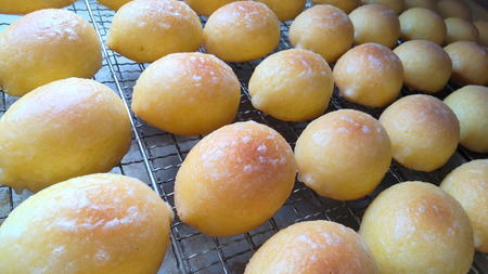 ケーキ工房菜の花　純朴レモンケーキ(10個入り)