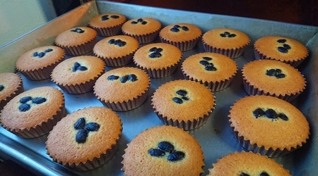 ケーキ工房菜の花 無添加 信貴山寅クッキーと焼菓子(大)