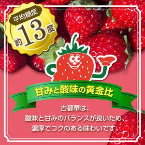 いちご 古都華・ことか2パック(8~15粒入り/1pc)【配送不可地域:離島・北海道・沖縄県・東北】【1685936】