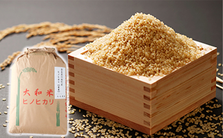 食品【新米令和4年産】奈良県産ヒノヒカリ約30kg 玄米 農家直送 - 米/穀物