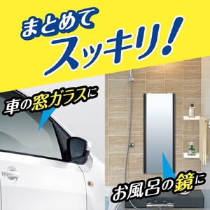 窓ガラス水アカとりパッド 晴香堂 HARUKADO