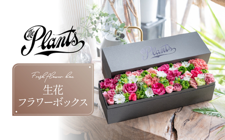 フラワーボックス The Plants ギフト おしゃれ 花束 フラワーアレンジメント 母の日 生花