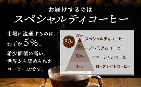自家焙煎 屯倉(みやけ) オリジナル ブレンド ドリップパック コーヒー 10P 香豆舎