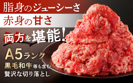 国産 牛肉 切り落とし 800g 小分け (200g×4) 冷凍 真空パック 小間切れ 牛丼 カレー