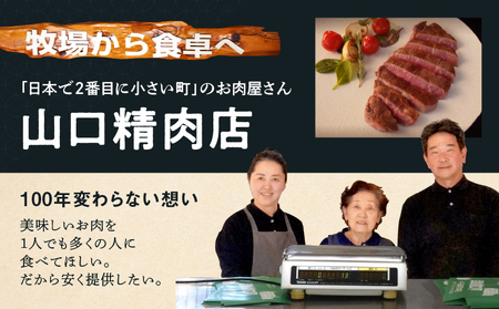 国産 牛肉 切り落とし 800g 小分け (200g×4) 冷凍 真空パック 小間切れ 牛丼 カレー