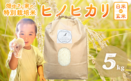 特別栽培米 減農薬 畑中さんの ひのひかり 白米 5kg ヒノヒカリ 奈良県
