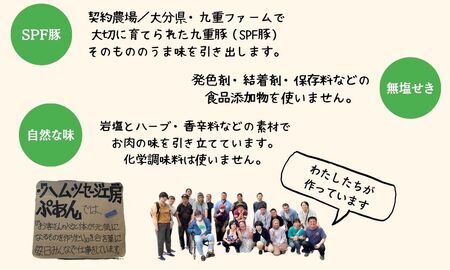無添加 ハム・ソーセージ 詰め合わせ セット　無塩せき 国産 人気 おすすめ ギフト つまみ ビール グルメ プレゼント
